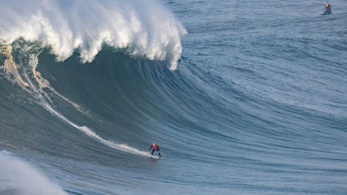 The Blind Sea Bild 3