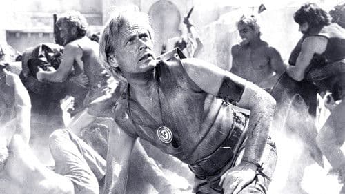 Raubzug der Wikinger Bild 8