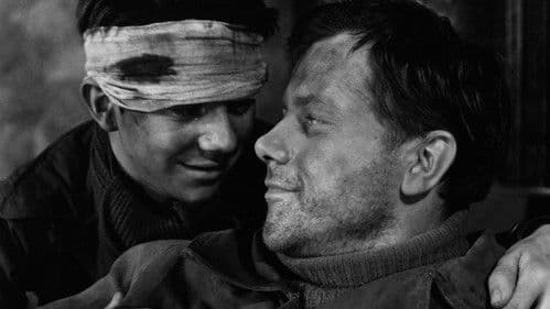 Als Martin vierzehn war Bild 2