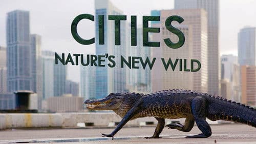 Cities: Nature's New Wild Bild 5