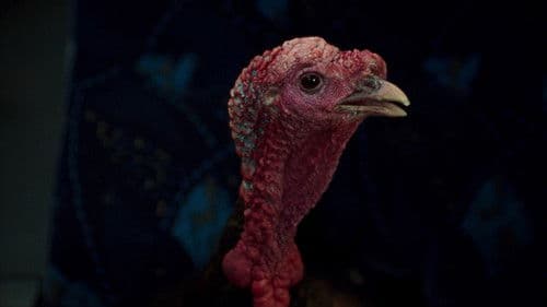 Une langue universelle Bild 4