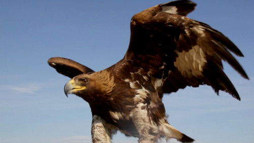 Тэнгэрийн хүү Bild 3