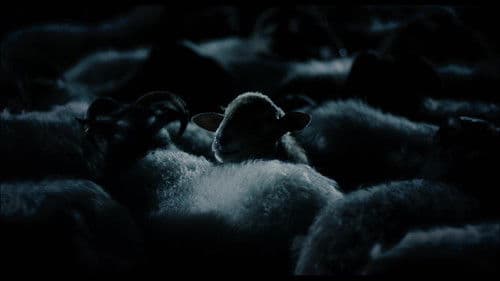 Shiver - Die düsteren Schatten der Angst Bild 4