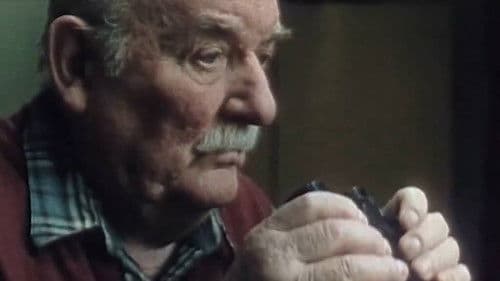 Zwei in einem Bild 3