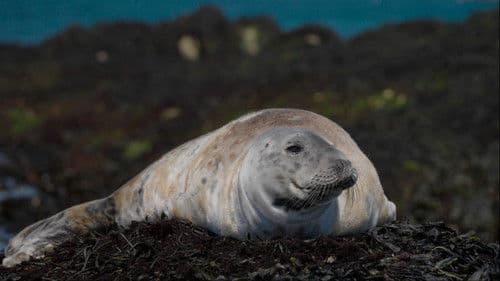 The Last Ferryman Bild 4