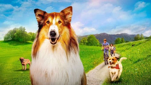 Lassie - Ein neues Abenteuer Bild 2