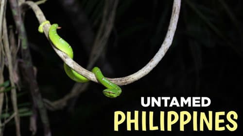 Die wilden Philippinen Bild 1