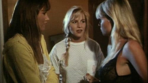 Bikini Island Bild 5