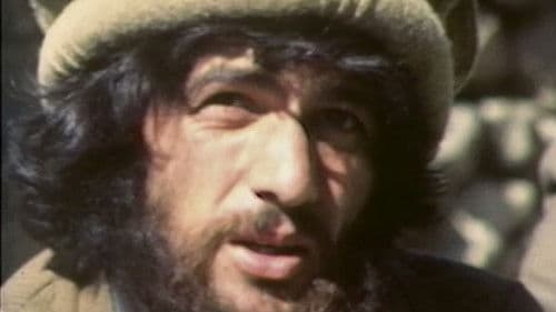 Les combattants de l'insolence Bild 1