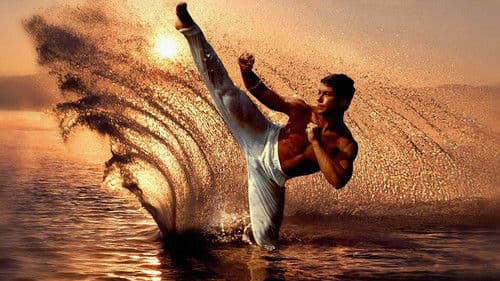 Karate Tiger 3 - Der Kickboxer Bild 7