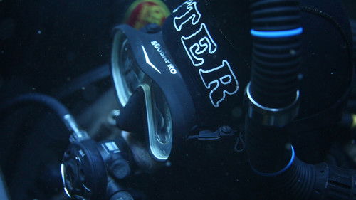 Dave Not Coming Back Bild 1