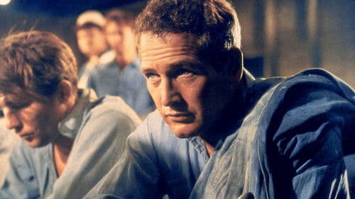 Paul Newman - Der unwiderstehliche Typ Bild 1