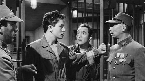 The Purple Heart Bild 1