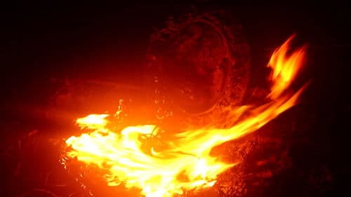 Admission of Guilt Bild 1