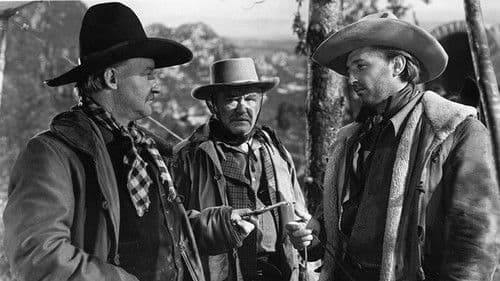 Nacht in der Prärie Bild 2