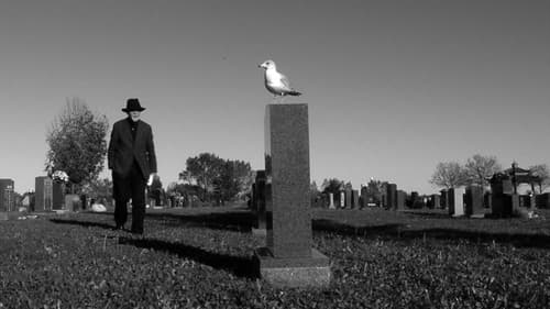 کیمیا و خاک Bild 1