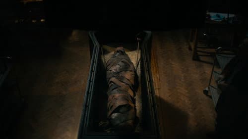 Lee Cronin's The Mummy Bild 4