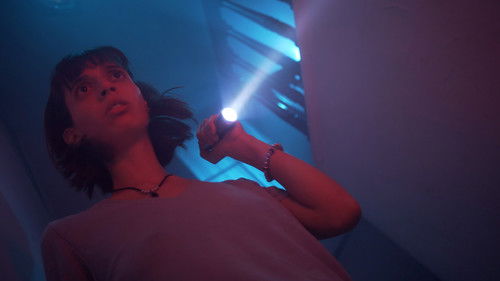 Solo di sol a los ídolos Bild 2