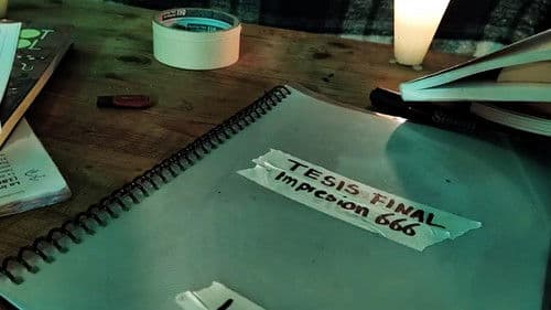 Larrica Tesis Bild 4