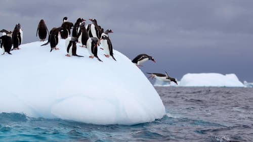 Wild 24: Ein Tag in der Wildnis Bild 2