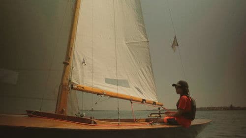 Os Vougas da Ria de Aveiro Bild 2