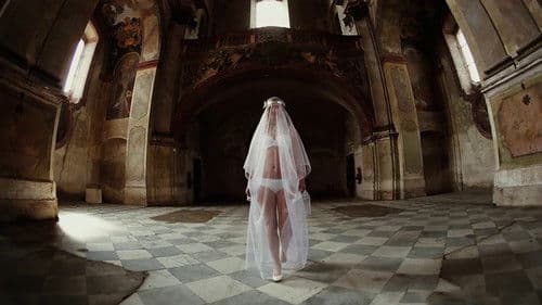 Sex, Sinners & Saints Bild 2