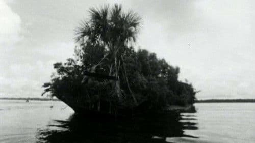 Léon G. Damas Bild 1