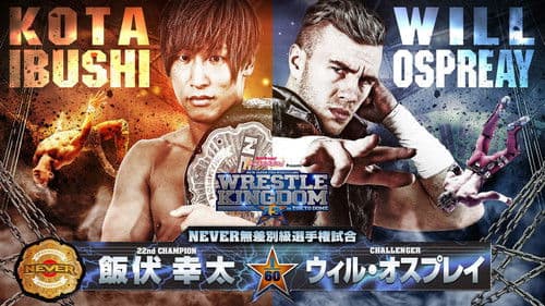 NJPW Wrestle Kingdom 13 Bild 5