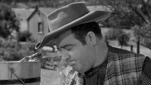 Die Wildwest-Witwe Bild 3