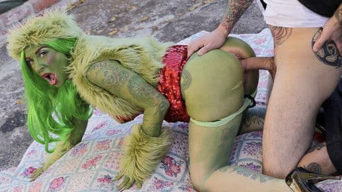 How the Grinch Gaped Christmas Bild 8