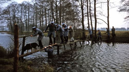 Prognoza pogody Bild 3