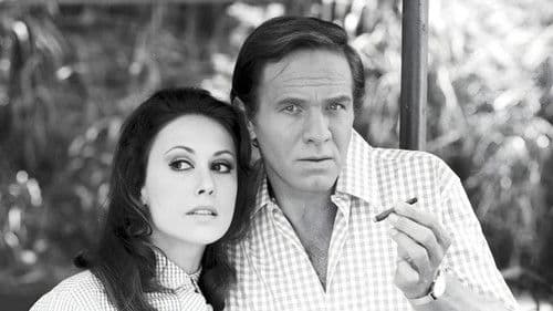 Verão Vermelho Bild 1