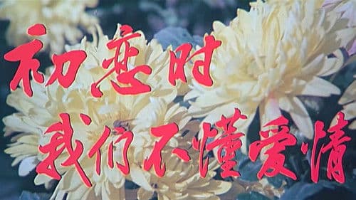 初恋时我们不懂爱情 Bild 1