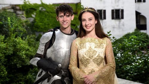 Pravý rytíř Bild 1