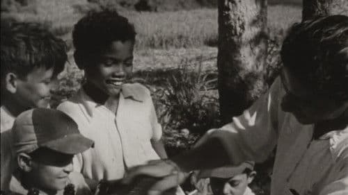 Raíces de felicidad Bild 1