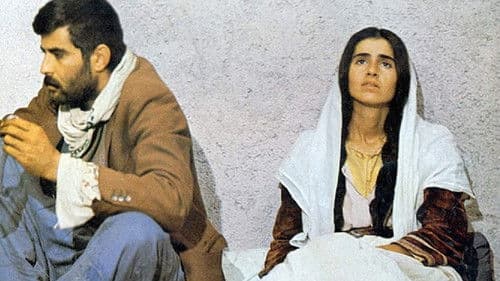 Sürü – Die Herde Bild 2