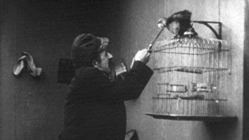 A Bird's a Bird Bild 1