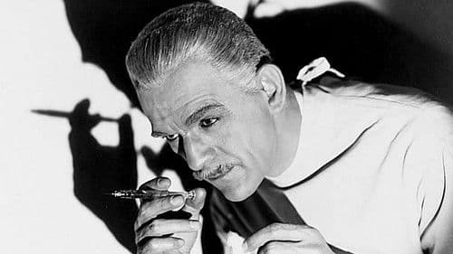 Schwarzer Freitag Bild 5