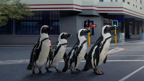 Das Jahr, das unsere Erde veränderte Bild 6