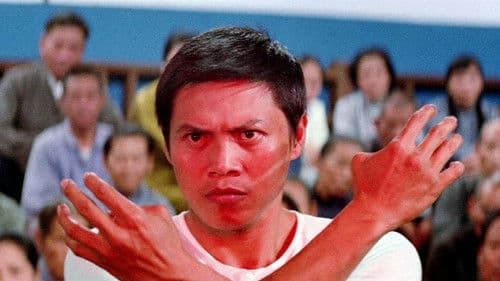 Zhao, der Unbesiegbare Bild 7