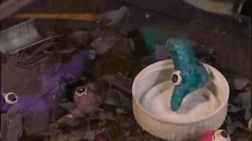 Eles Não nos Deixam ver o Sol Bild 1