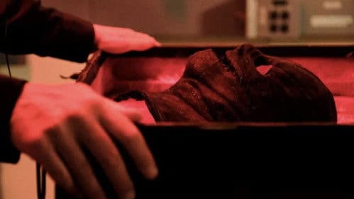 The Collected Bild 4