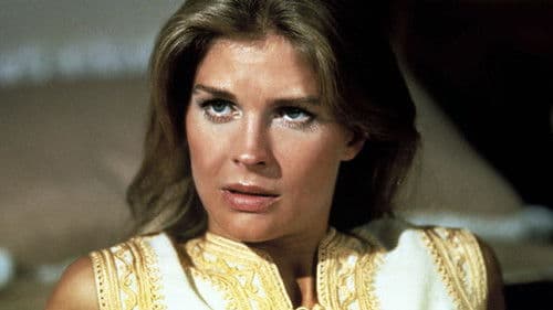 Brillanten und Kakerlaken Bild 4