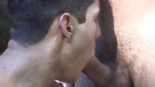 Apaixonados por Rolas Bild 1