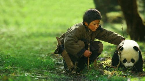 熊猫回家路 Bild 2