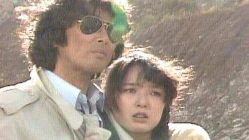 さよならも言わずに消えた！ Bild 1