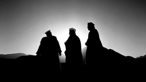 El cant dels ocells Bild 2