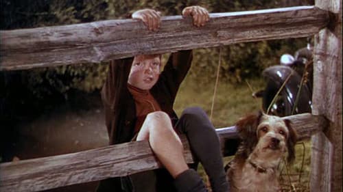 Kleines Mädchen, großes Herz Bild 4