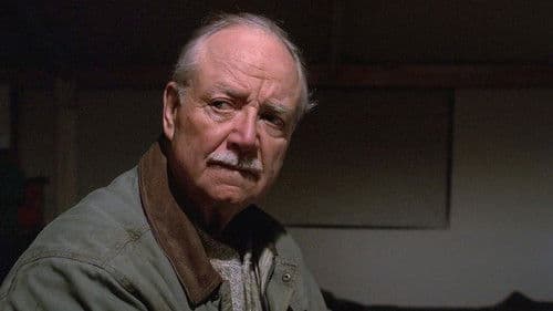 Brothers' Destiny Bild 1