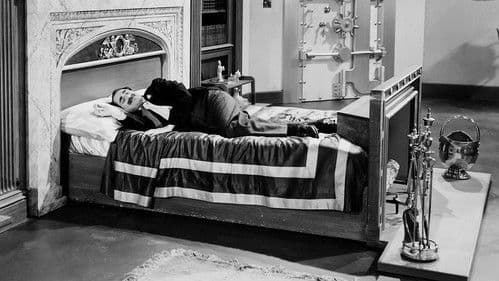 Die Marx Brothers im Kaufhaus Bild 8